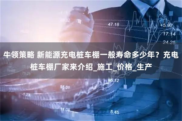 牛领策略 新能源充电桩车棚一般寿命多少年？充电桩车棚厂家来介绍_施工_价格_生产