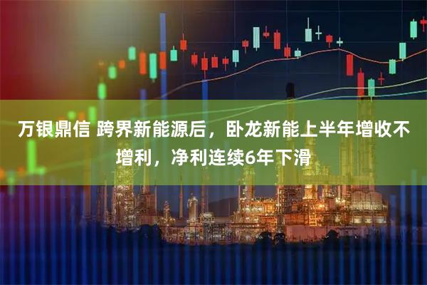万银鼎信 跨界新能源后，卧龙新能上半年增收不增利，净利连续6年下滑